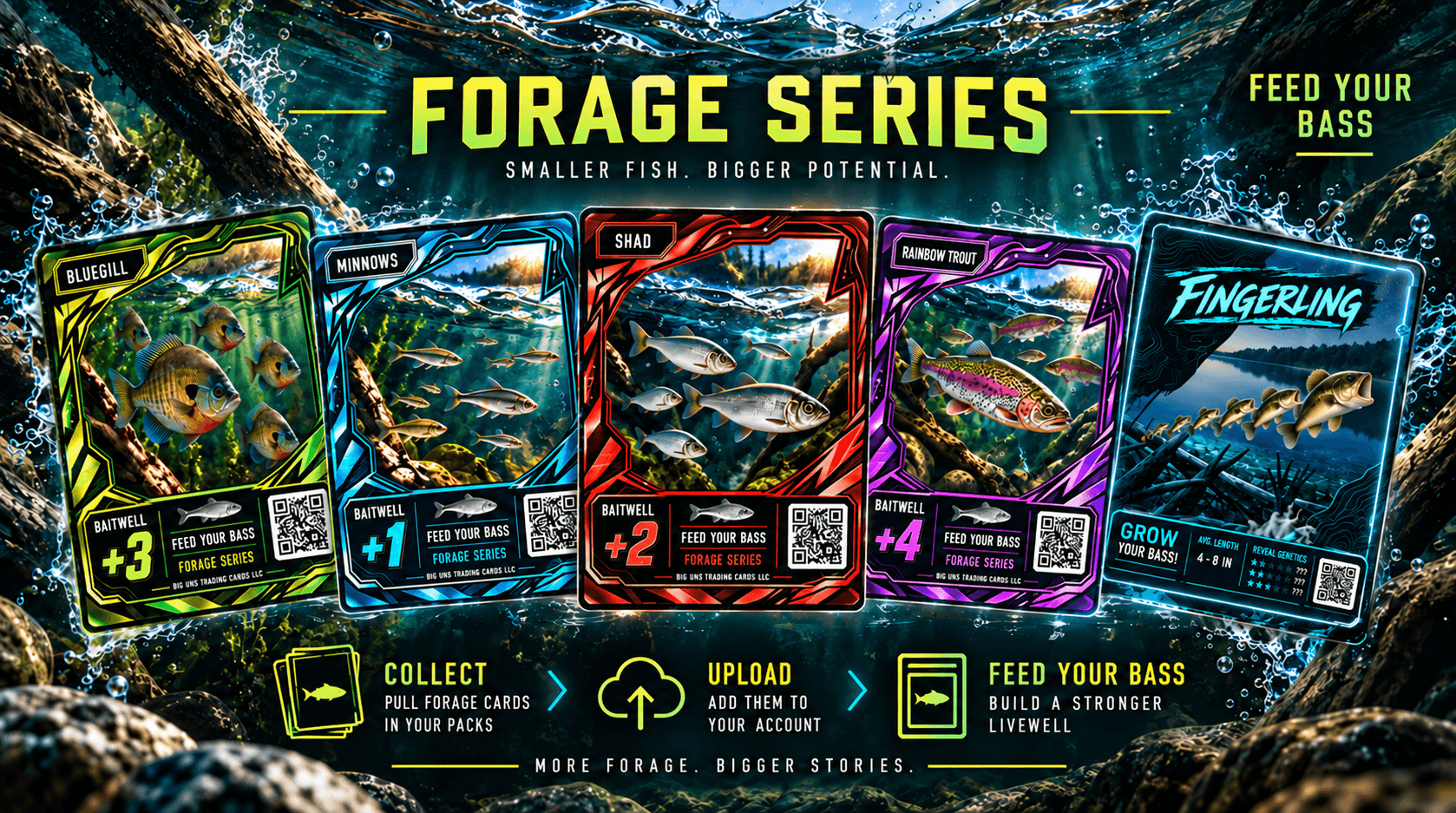 Bluegill +3, Minnows +1, Shad +2, Rainbow Trout +4 forage cards and a Fingerling bass card